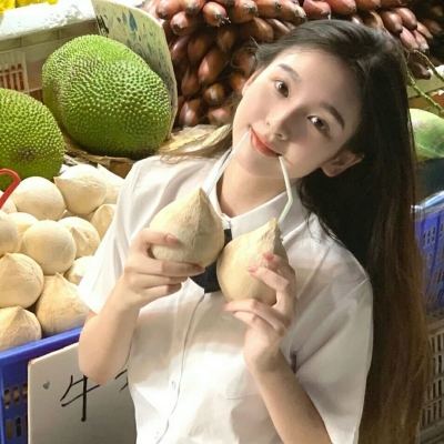 冰河时代村庄中文破解版(Ice Age Village)下载
